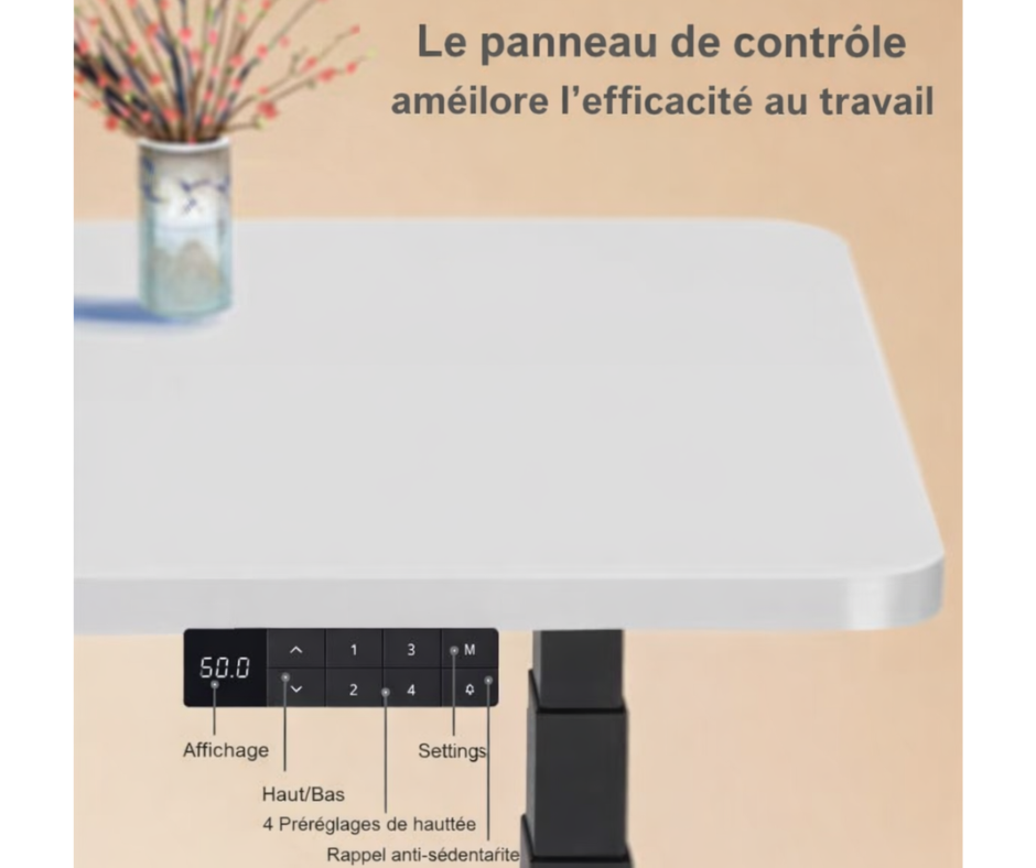 Bureau Assis-Debout Électrique Double Moteur – Ergonomie & Performance